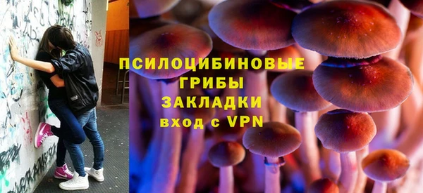 метадон Инсар