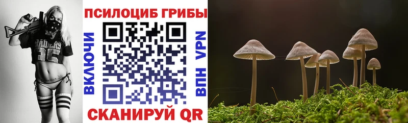 блэк спрут ONION  Ессентуки  Галлюциногенные грибы GOLDEN TEACHER 